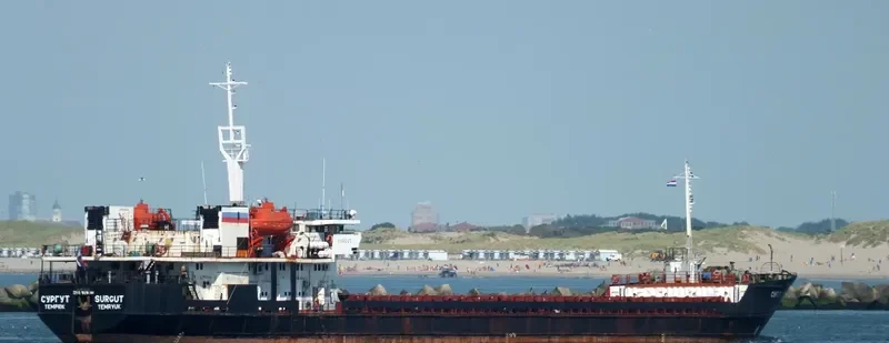 SURGUT General Cargo IMO 9119361 photo 8