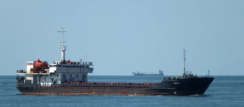 SURGUT General Cargo IMO 9119361 photo 9