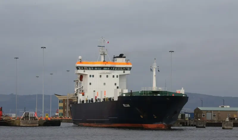 HELLIAR Ro-Ro IMO 9119397 photo 5