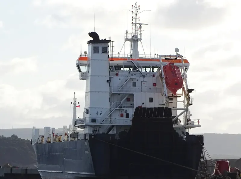 ARROW Ro-Ro IMO 9119414 photo 2