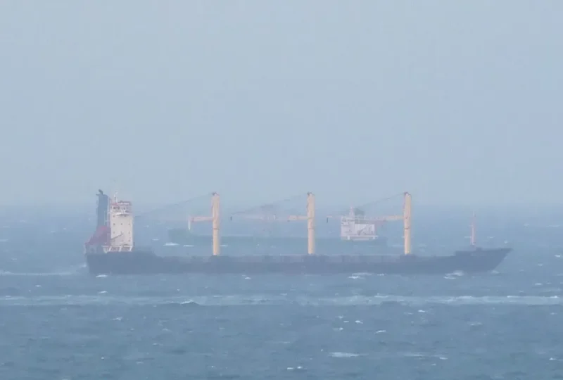 ERIN General Cargo IMO 9119488