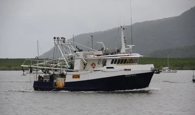 OCEAN WILD General Cargo IMO 9119555