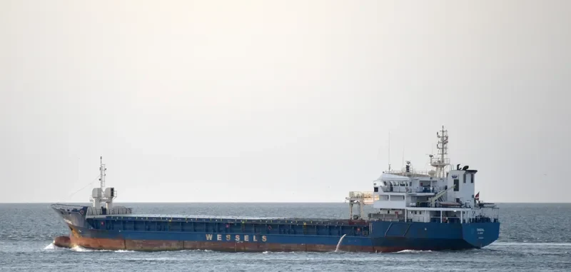 TINSDAL General Cargo IMO 9119567 photo 7
