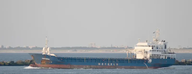 TINSDAL General Cargo IMO 9119567 photo 8