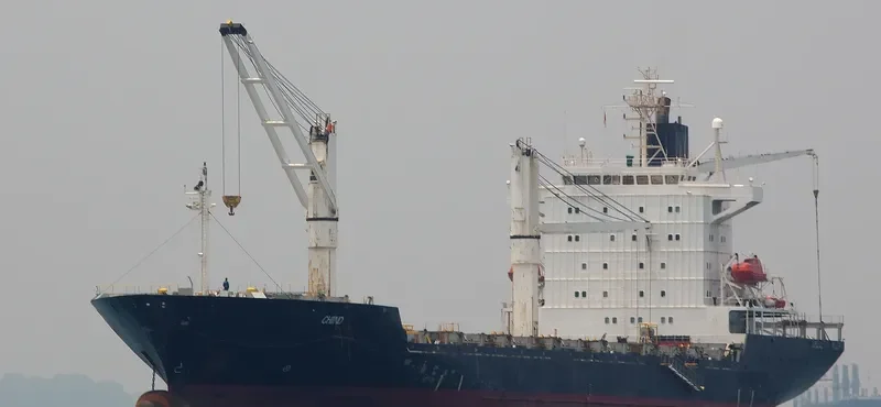 BLPL TRUST Container Ship IMO 9119660 photo 7