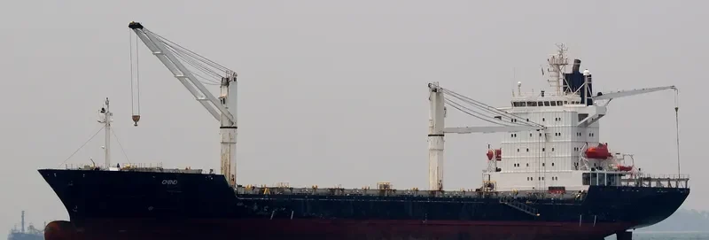 BLPL TRUST Container Ship IMO 9119660 photo 8