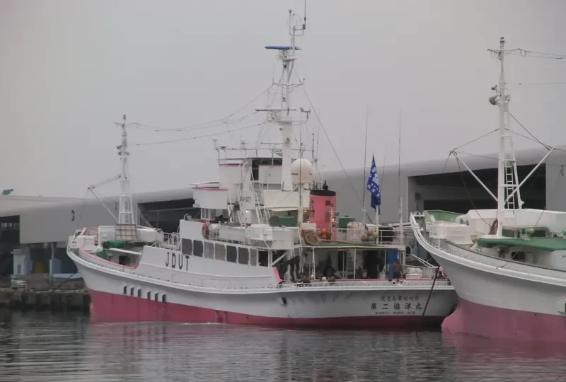 MEIHO MARU NO.22 General Cargo IMO 9119751 photo 5