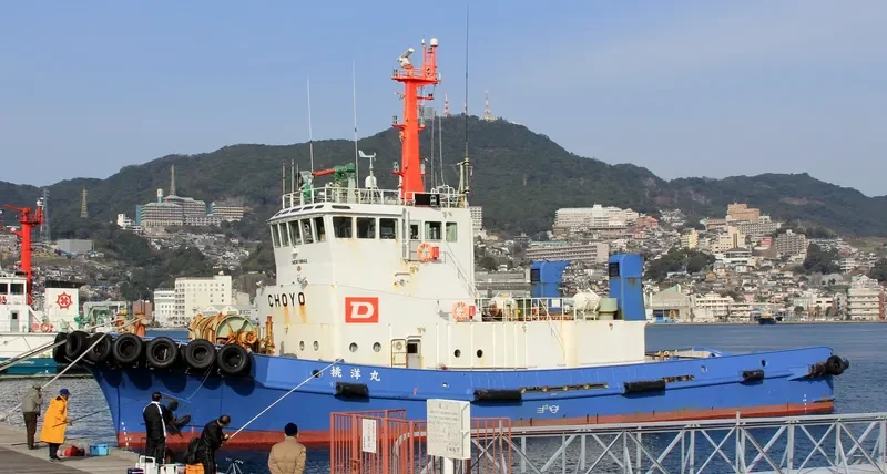 CHOYO MARU General Cargo IMO 9119842 photo 6