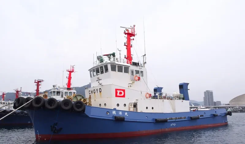 CHOYO MARU General Cargo IMO 9119842 photo 8