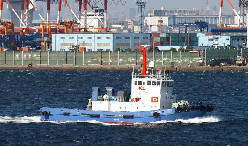 CHOYO MARU General Cargo IMO 9119842 photo 9