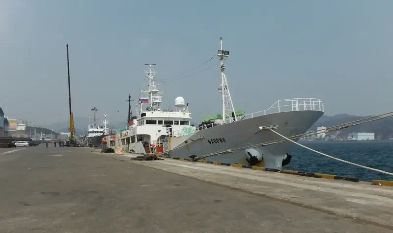 FLORIN General Cargo IMO 9119880