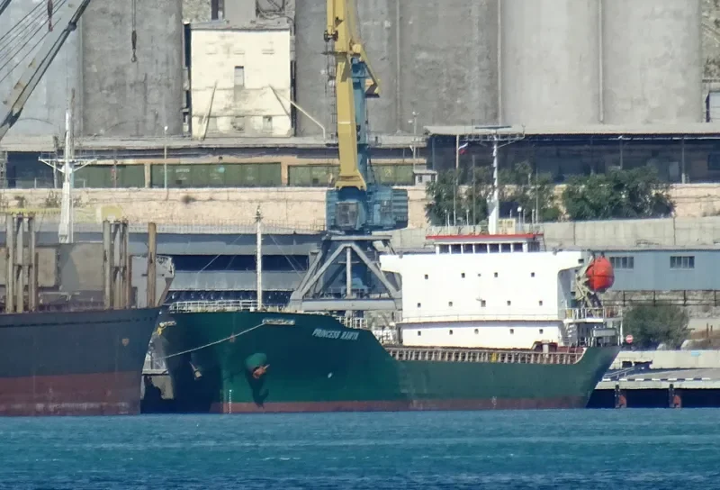 PRINCESS RAWYA General Cargo IMO 9119907