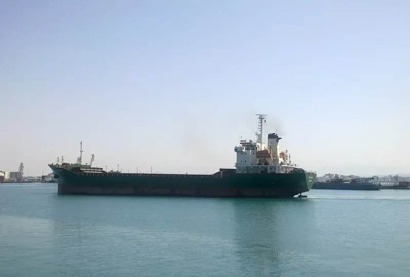 PRINCESS RAWYA General Cargo IMO 9119907 photo 5