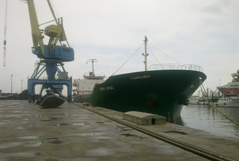 PRINCESS RAWYA General Cargo IMO 9119907 photo 6