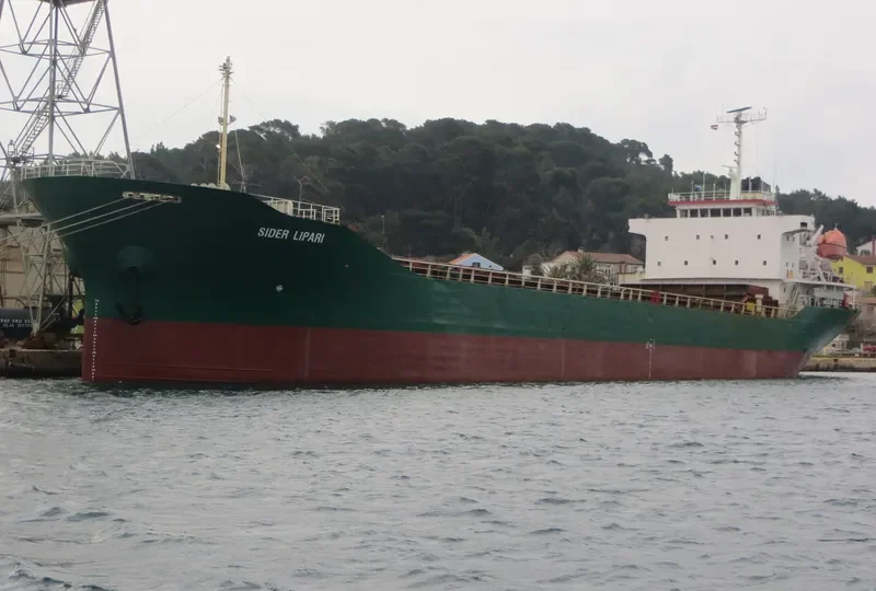 PRINCESS RAWYA General Cargo IMO 9119907 photo 8