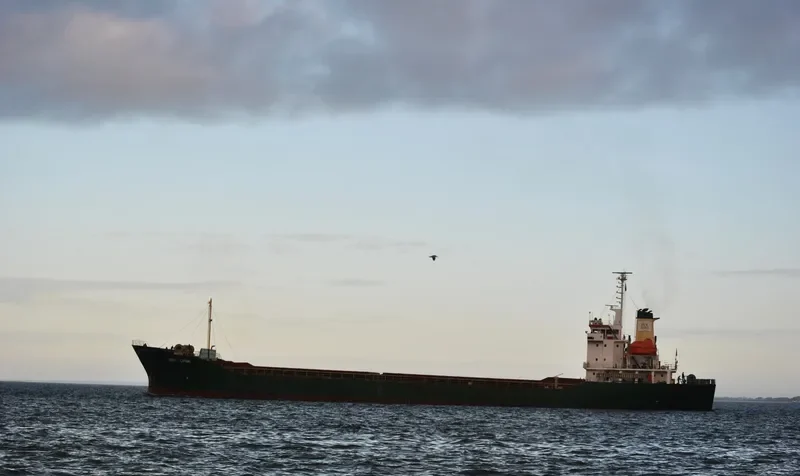 PRINCESS RAWYA General Cargo IMO 9119907 photo 10