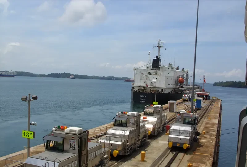 BASHUNDHARA 8 Bulk Carrier IMO 9119971