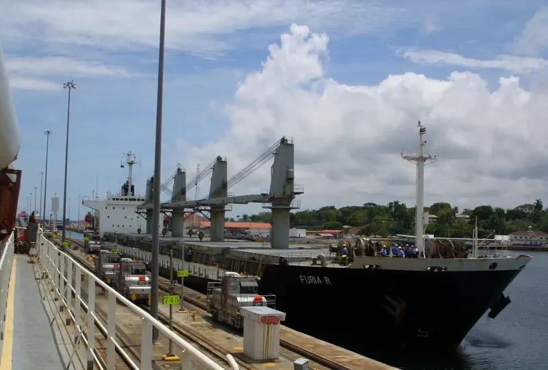 BASHUNDHARA 8 Bulk Carrier IMO 9119971 photo 2