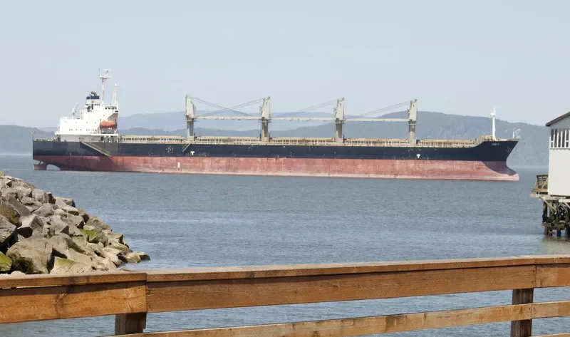 BASHUNDHARA 8 Bulk Carrier IMO 9119971 photo 3