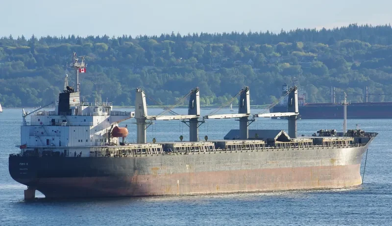 BASHUNDHARA 8 Bulk Carrier IMO 9119971 photo 5