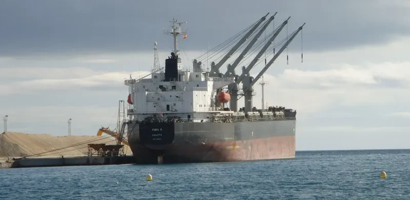 BASHUNDHARA 8 Bulk Carrier IMO 9119971 photo 6