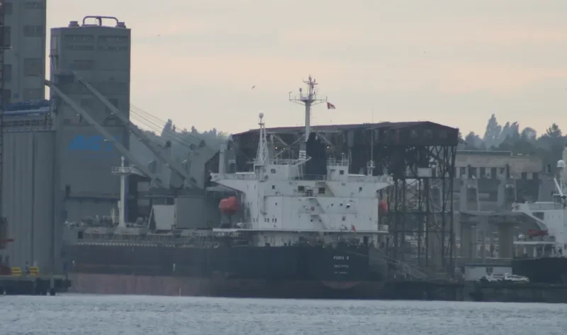 BASHUNDHARA 8 Bulk Carrier IMO 9119971 photo 8