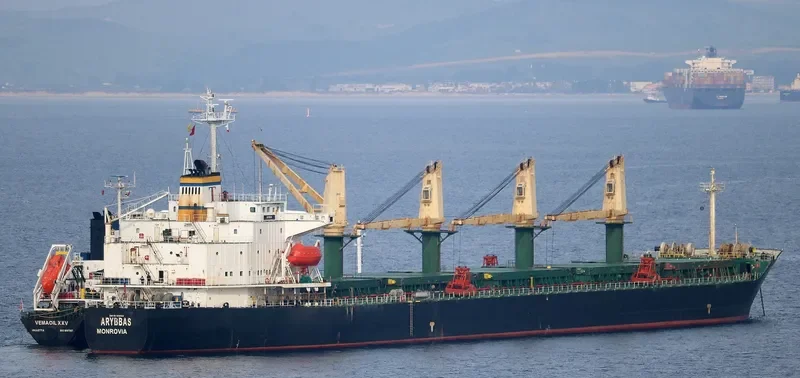ARYBBAS Bulk Carrier IMO 9119983 photo 2