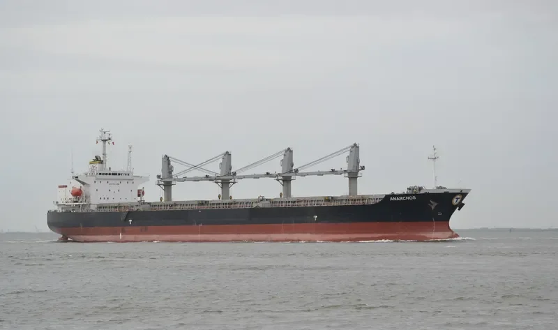 ARYBBAS Bulk Carrier IMO 9119983 photo 3