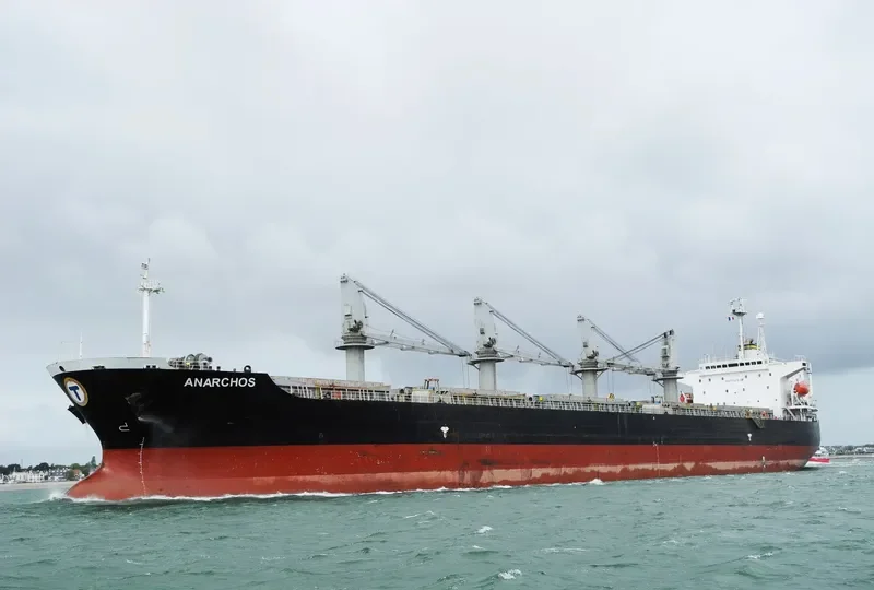 ARYBBAS Bulk Carrier IMO 9119983 photo 6