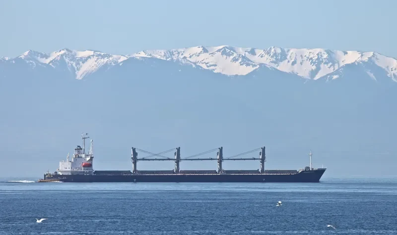ARYBBAS Bulk Carrier IMO 9119983 photo 8