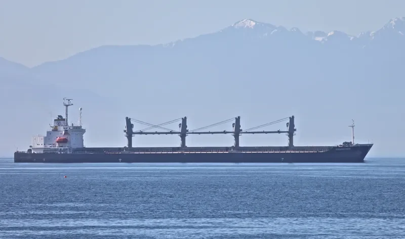 ARYBBAS Bulk Carrier IMO 9119983 photo 9