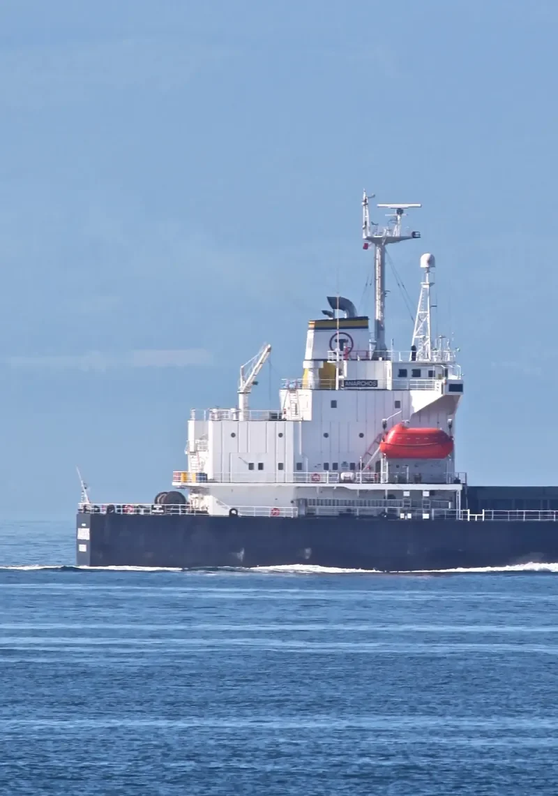 ARYBBAS Bulk Carrier IMO 9119983 photo 10