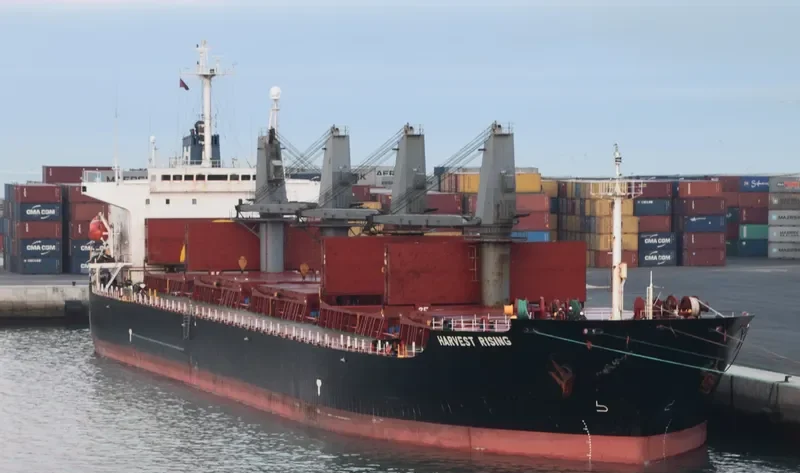 FU HAI Bulk Carrier IMO 9119995 photo 3