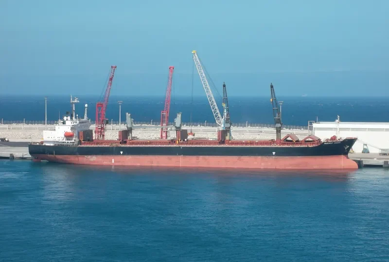 FU HAI Bulk Carrier IMO 9119995 photo 4
