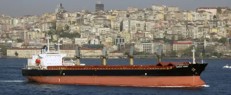 FU HAI Bulk Carrier IMO 9119995 photo 6