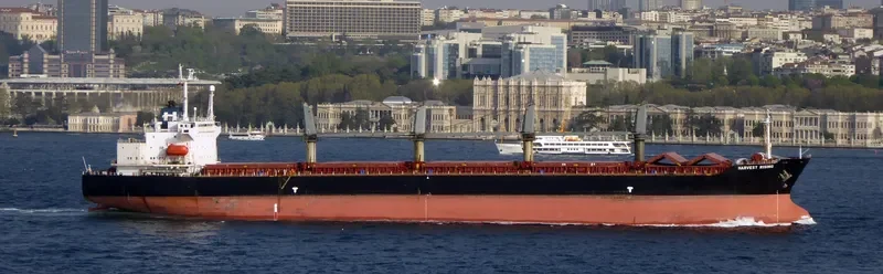 FU HAI Bulk Carrier IMO 9119995 photo 7