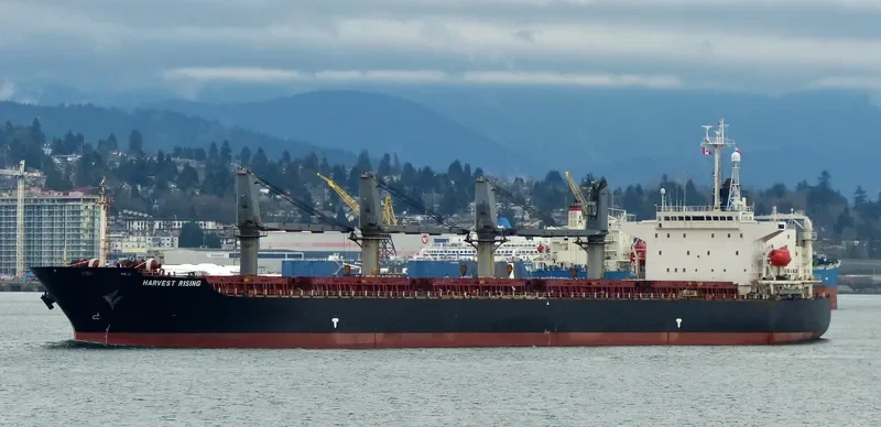 FU HAI Bulk Carrier IMO 9119995 photo 10