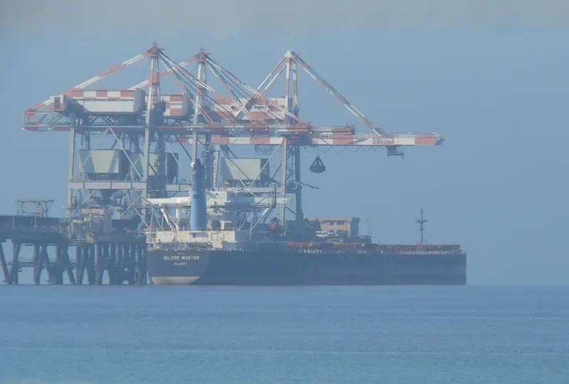 SILVER MASTER Bulk Carrier IMO 9120035 photo 2
