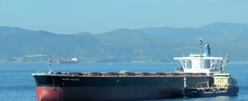 SILVER MASTER Bulk Carrier IMO 9120035 photo 6