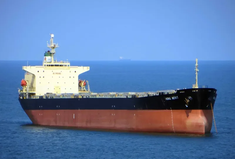 HONG MERIT Bulk Carrier IMO 9120059
