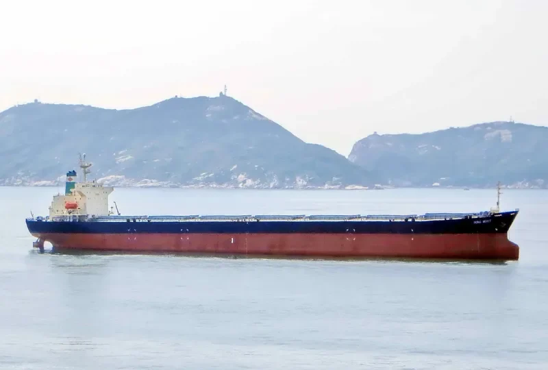 HONG MERIT Bulk Carrier IMO 9120059 photo 2