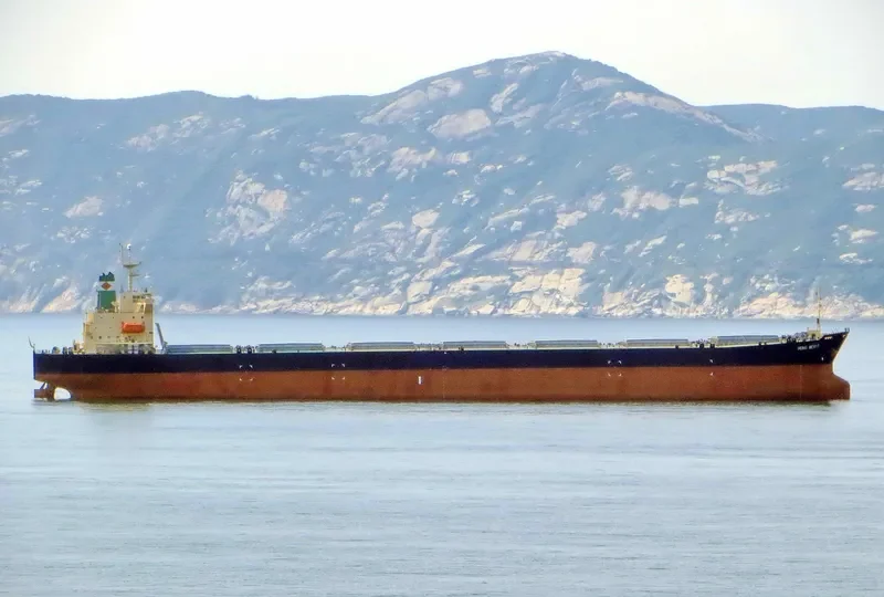 HONG MERIT Bulk Carrier IMO 9120059 photo 3