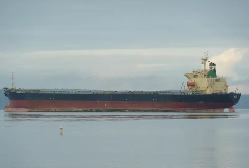HONG MERIT Bulk Carrier IMO 9120059 photo 5