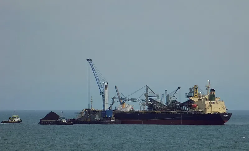 HONG MERIT Bulk Carrier IMO 9120059 photo 8