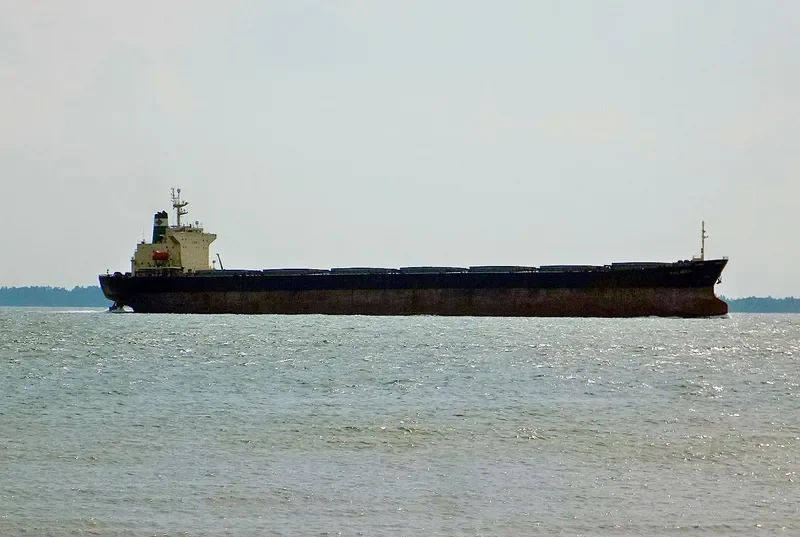 HONG MERIT Bulk Carrier IMO 9120059 photo 10