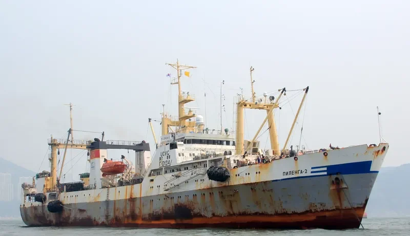PILENGA 2 General Cargo IMO 9120310 photo 6