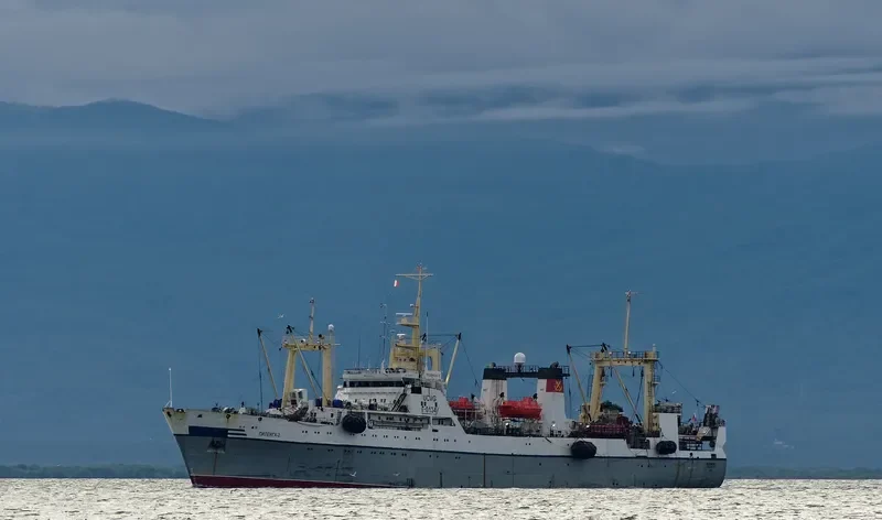 PILENGA 2 General Cargo IMO 9120310 photo 7