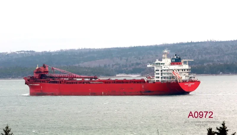 ALGOMA VALOUR Bulk Carrier IMO 9120334 photo 7