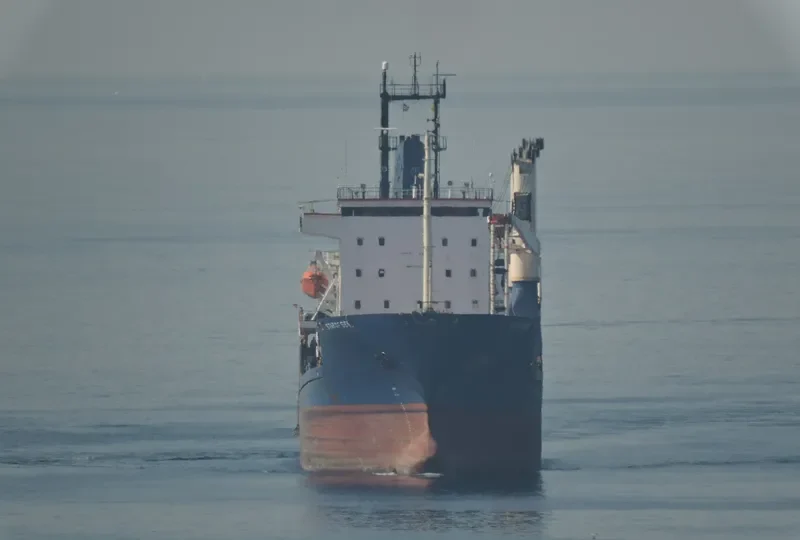 TULIP M General Cargo IMO 9120736 photo 2