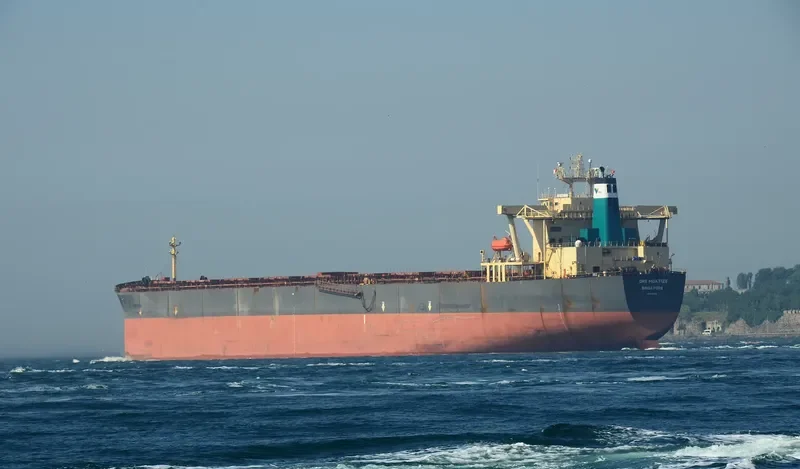ORE MOATIZE Bulk Carrier IMO 9120803 photo 9